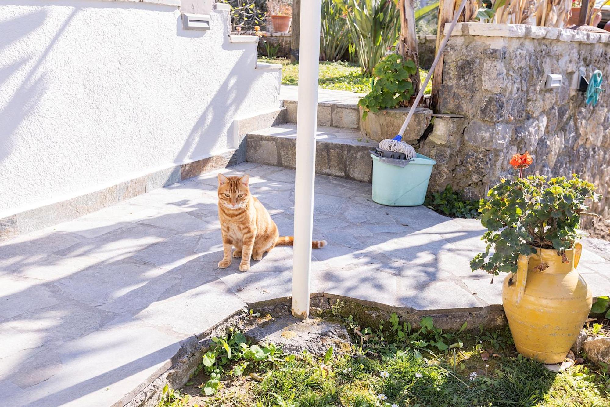 Ad Homes Ájos Górdios Eksteriør bilde